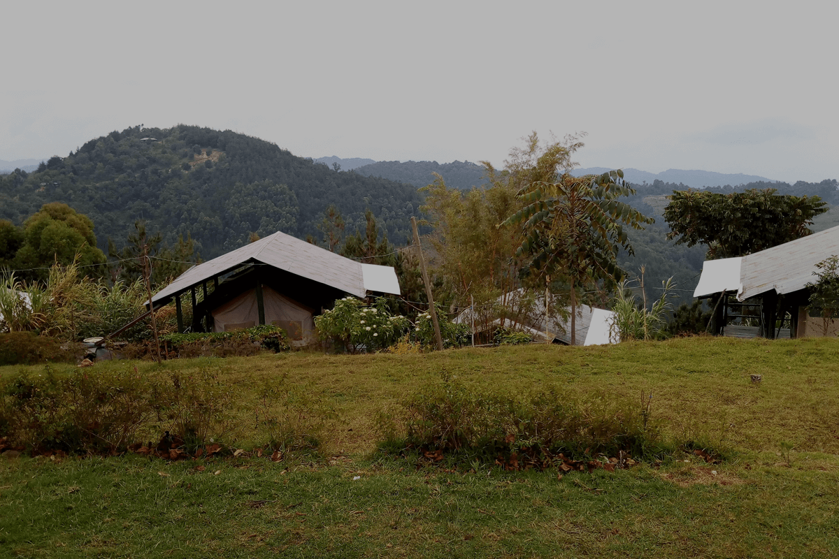 ruhija gorilla friends bwindi view