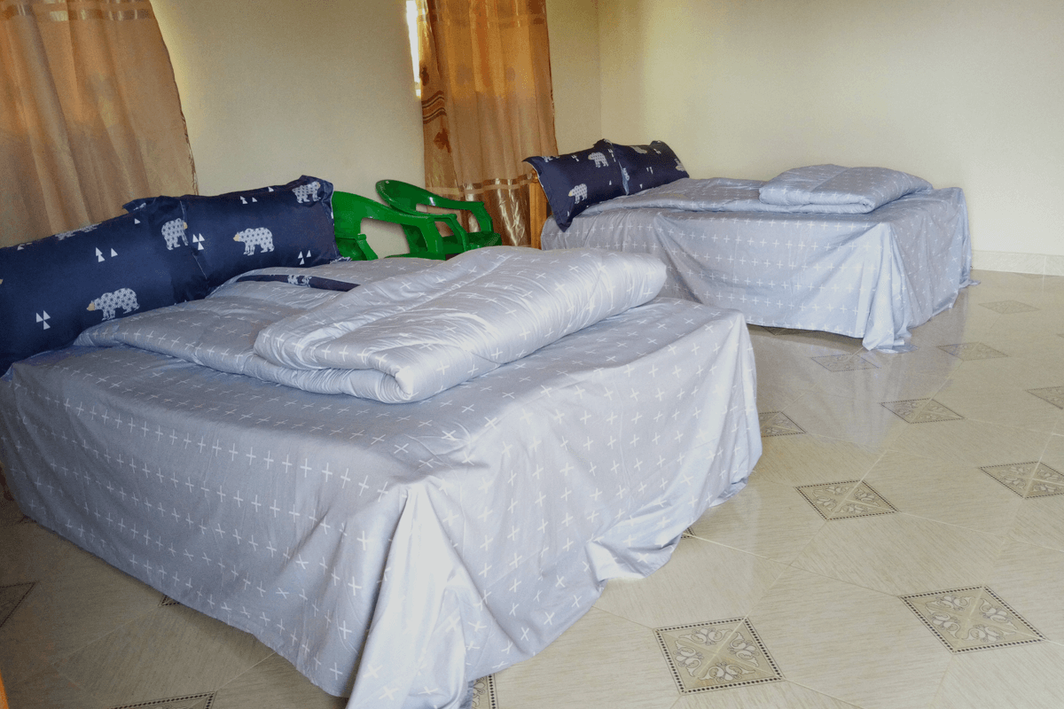 ruhija gorilla friends double